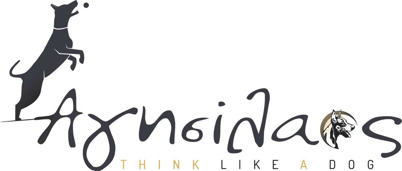 Think Like a Dog